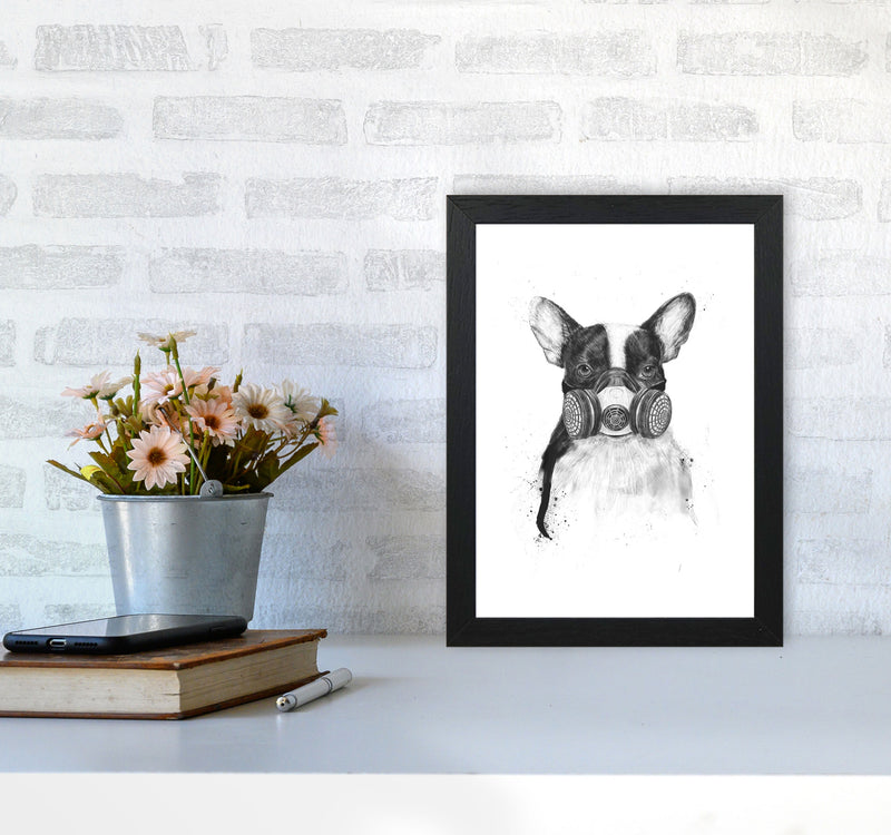 Big City Life Bulldog Animal Art Print by Balaz Solti A4 White Frame
