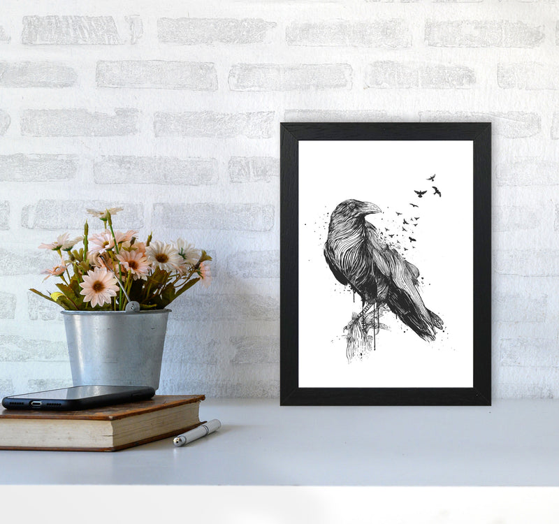 Born To Be Free Raven B&W Animal Art Print by Balaz Solti A4 White Frame