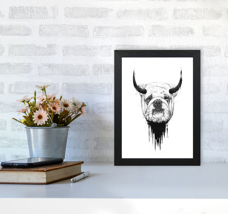Bulldog Horns Animal Art Print by Balaz Solti A4 White Frame