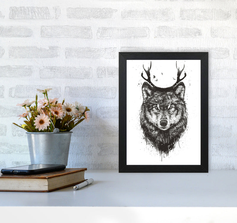 Deer Wolf B&W Animal Art Print by Balaz Solti A4 White Frame