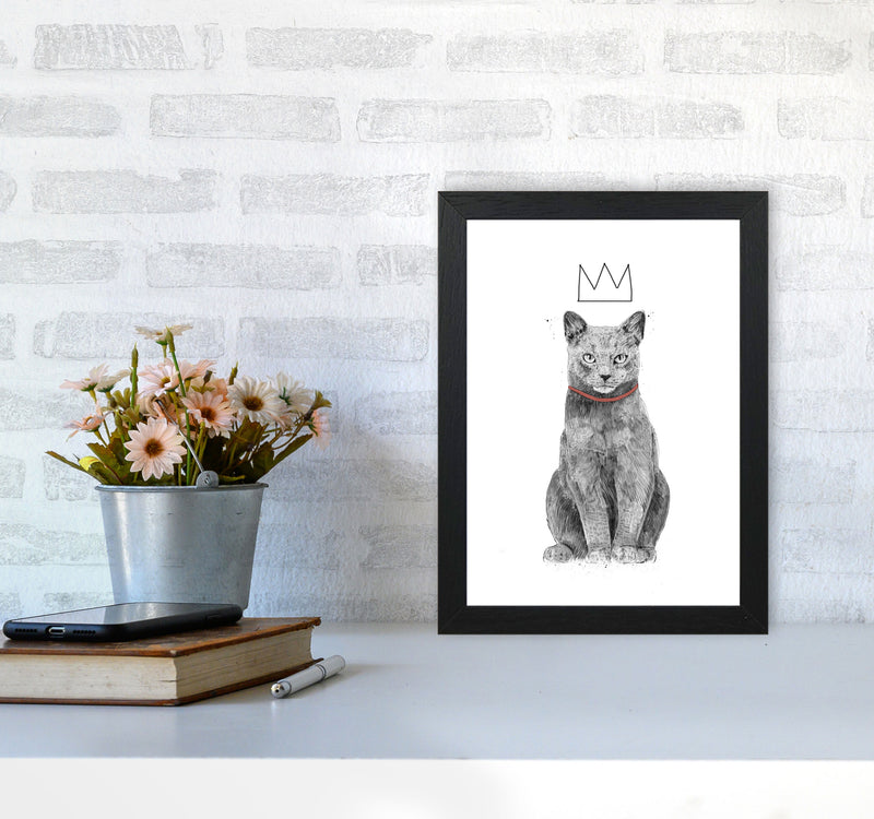 King Of Everything Animal Art Print by Balaz Solti A4 White Frame