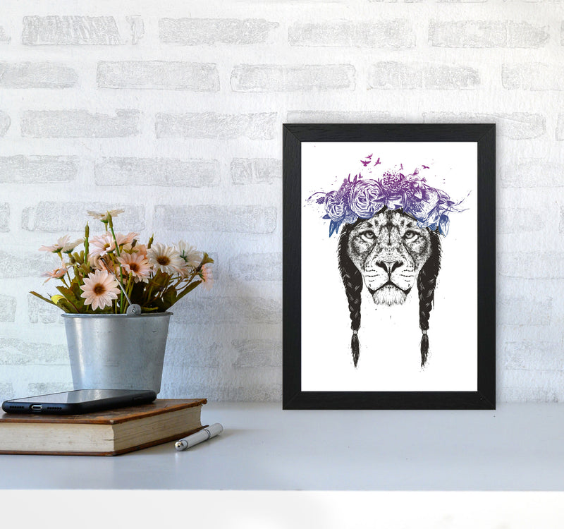King Of Lions Animal Art Print by Balaz Solti A4 White Frame