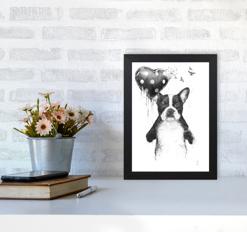 My Heart Goes Boom Bulldog Animal Art Print by Balaz Solti A4 White Frame