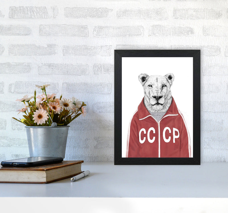 Soviet Lion Animal Art Print by Balaz Solti A4 White Frame