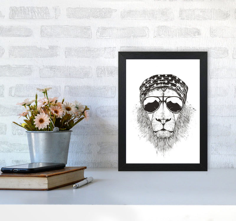 Wild Lion B&W Animal Art Print by Balaz Solti A4 White Frame