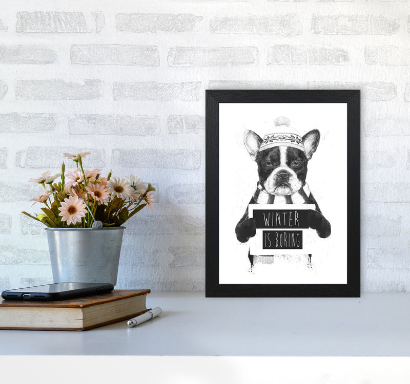 Winter Is Boring Animal Art Print by Balaz Solti A4 White Frame