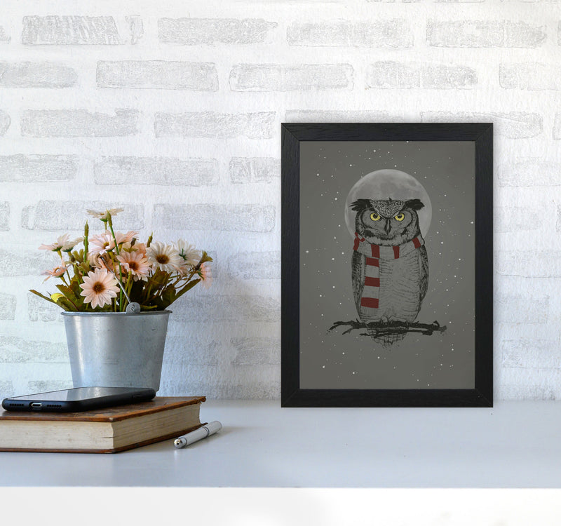 Winter Owl Animal Art Print by Balaz Solti A4 White Frame