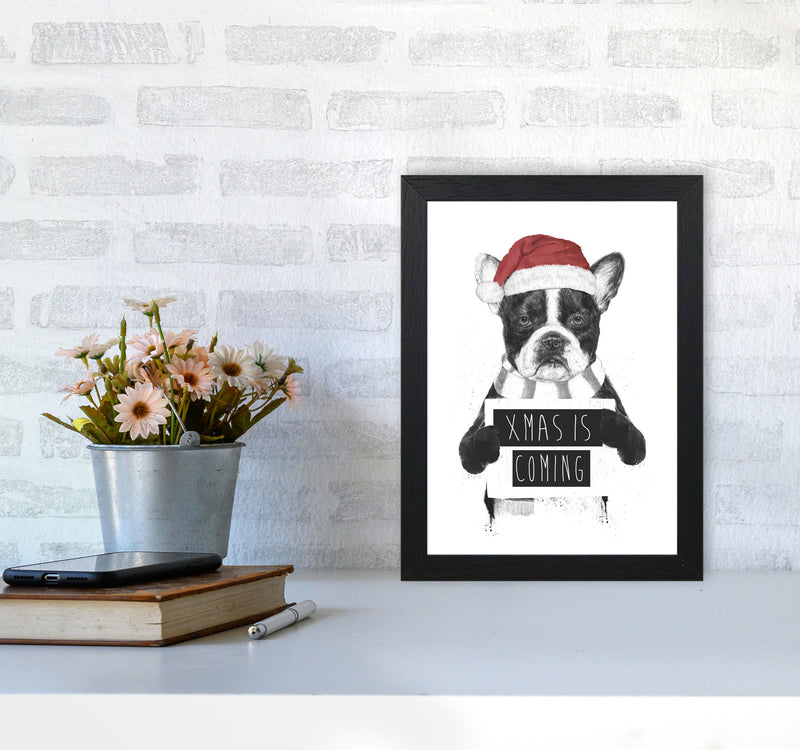 Xmas Is Coming Animal Art Print by Balaz Solti A4 White Frame