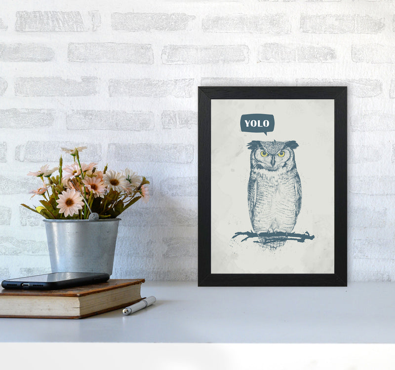 Yolo Owl Animal Art Print by Balaz Solti A4 White Frame