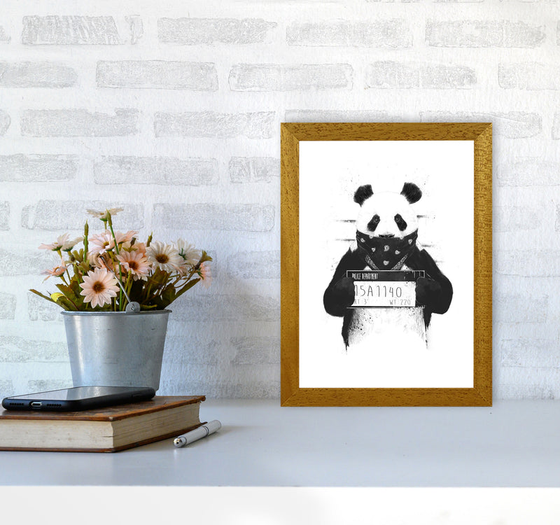 Bad Panda Animal Art Print by Balaz Solti A4 Print Only