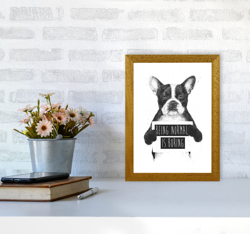 Being Normal Is Boring Animal Art Print by Balaz Solti A4 Print Only