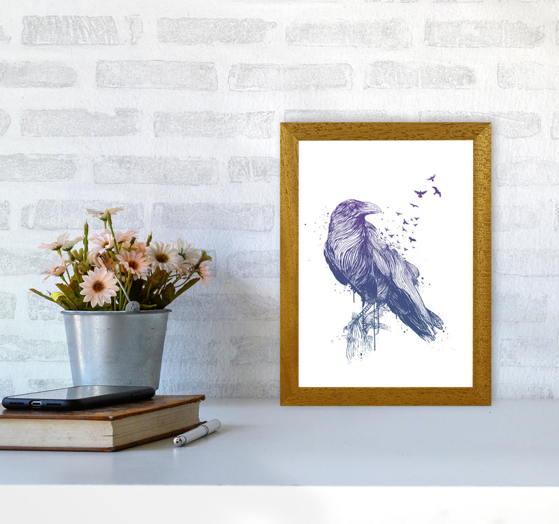 Born To Be Free Raven Animal Art Print by Balaz Solti A4 Print Only