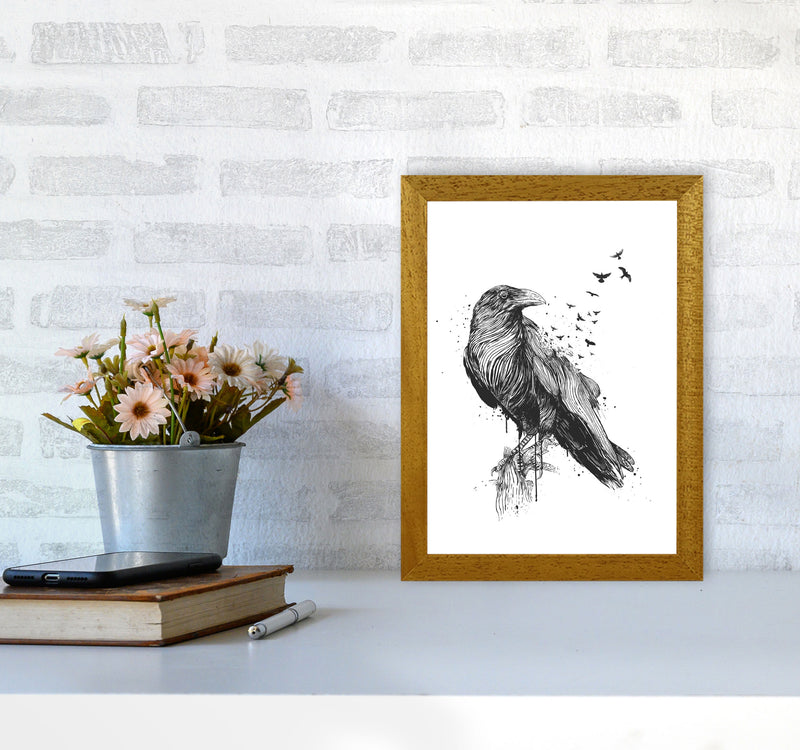 Born To Be Free Raven B&W Animal Art Print by Balaz Solti A4 Print Only