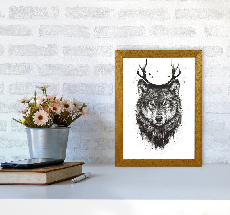 Deer Wolf B&W Animal Art Print by Balaz Solti A4 Print Only