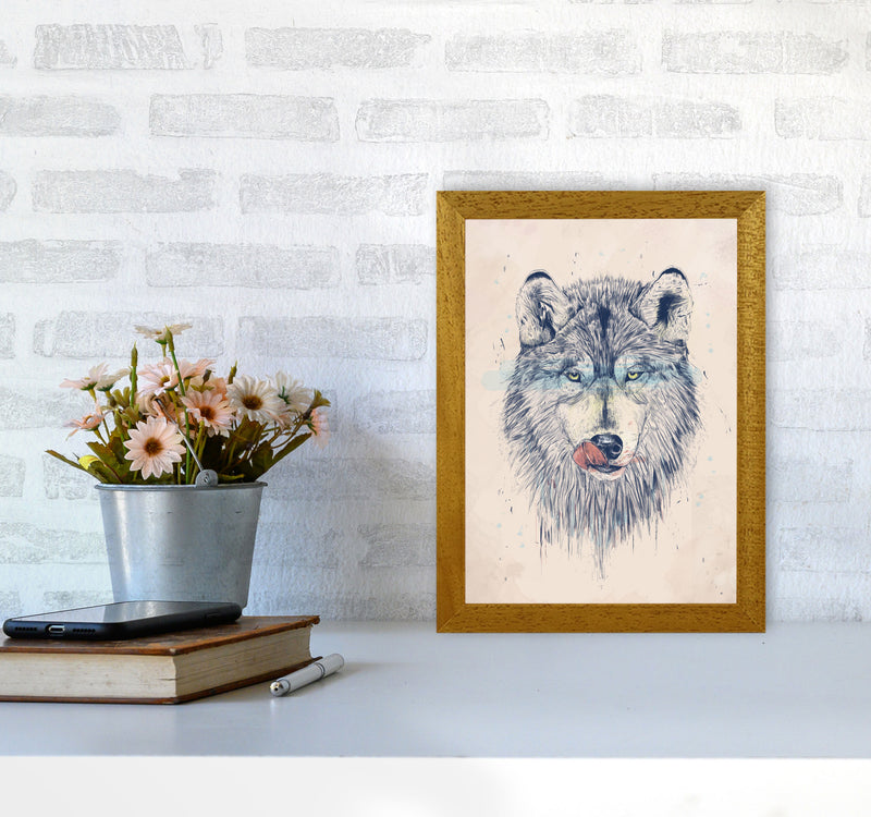 Dinner Time Wolf Animal Art Print by Balaz Solti A4 Print Only