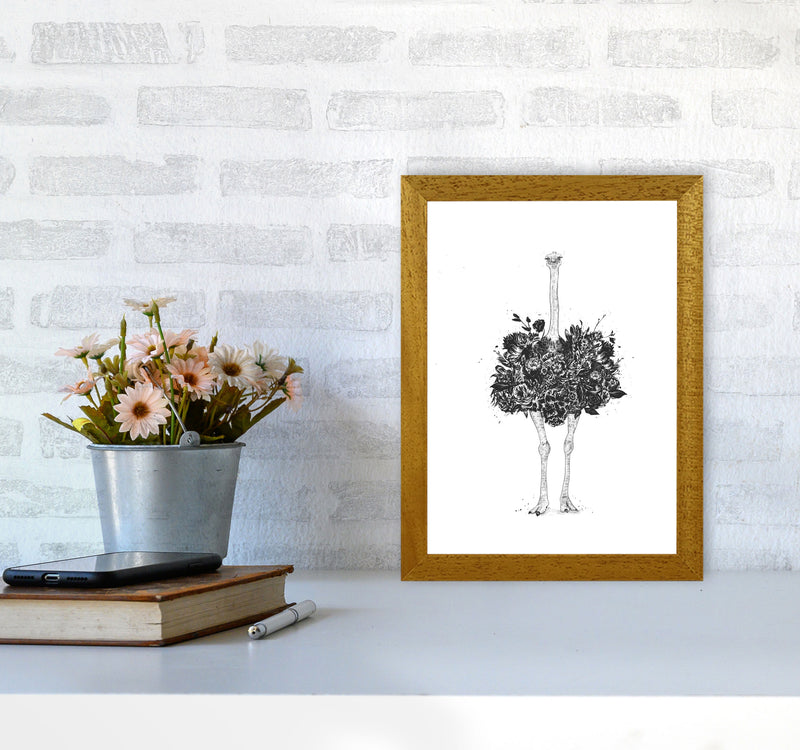 Floral Ostrich Animal Art Print by Balaz Solti A4 Print Only
