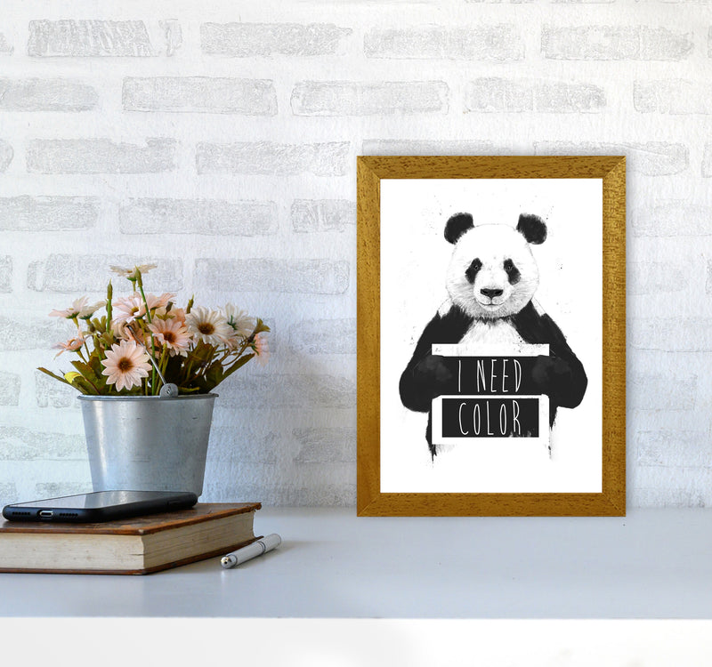 I Need Colour Panda Animal Art Print by Balaz Solti A4 Print Only