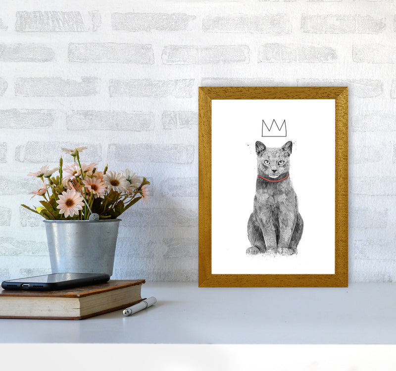 King Of Everything Animal Art Print by Balaz Solti A4 Print Only