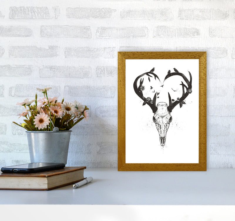 Never-ending Love Deer Skull B&W Animal Art Print by Balaz Solti A4 Print Only