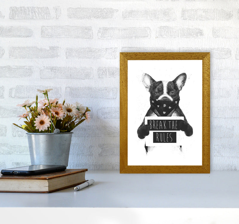 Rebel Bulldog Animal Art Print by Balaz Solti A4 Print Only