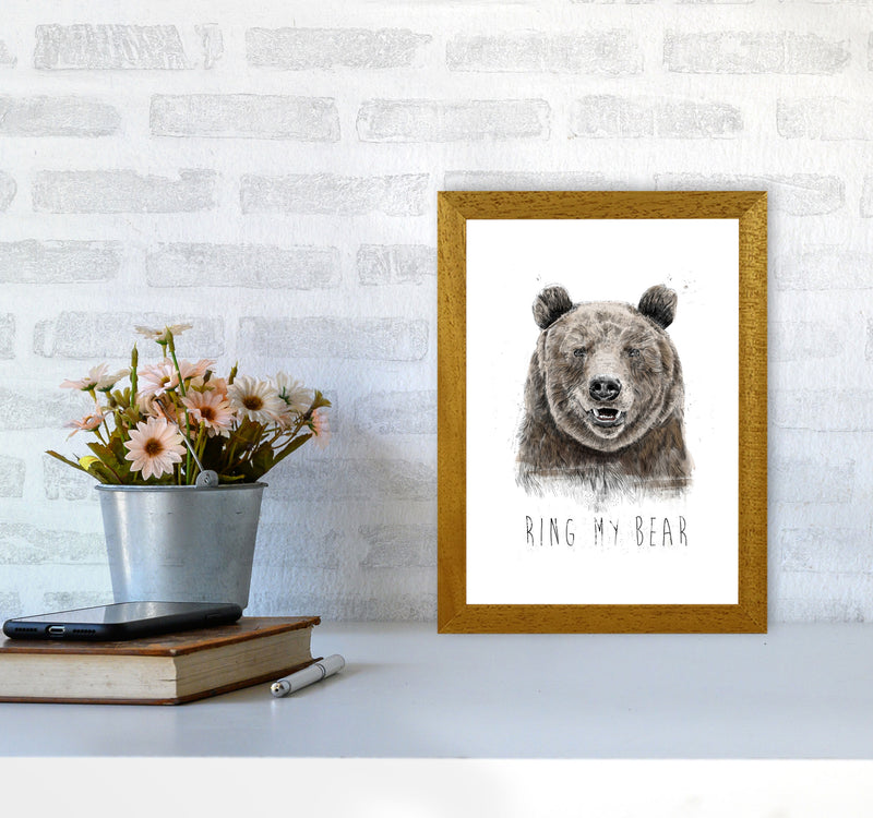 Ring My Bear Animal Art Print by Balaz Solti A4 Print Only