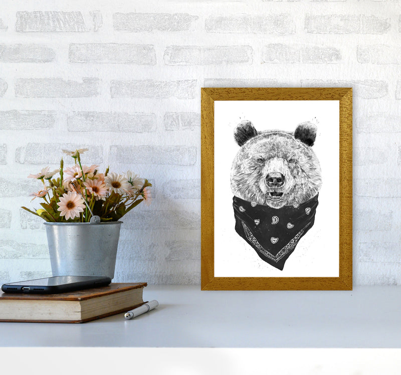 Wild Bear Animal Art Print by Balaz Solti A4 Print Only