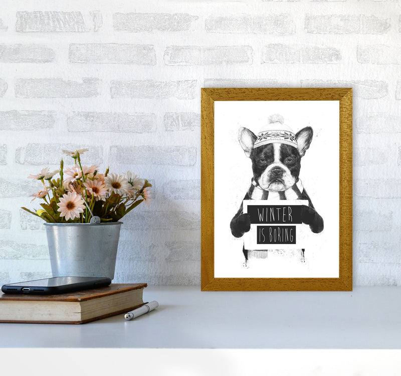 Winter Is Boring Animal Art Print by Balaz Solti A4 Print Only