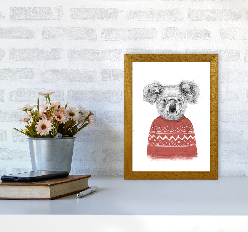 Winter Koala Red Animal Art Print by Balaz Solti A4 Print Only