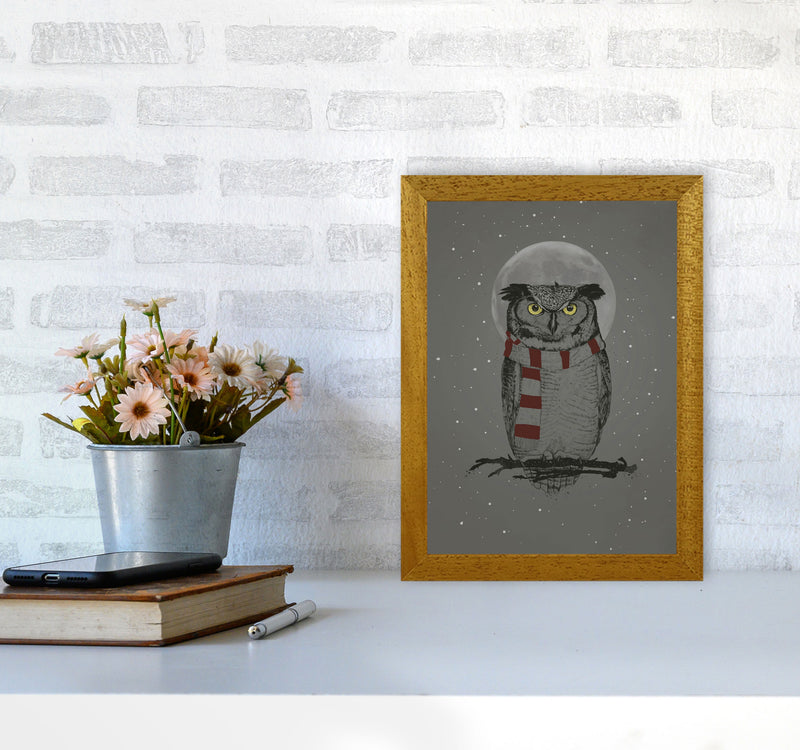 Winter Owl Animal Art Print by Balaz Solti A4 Print Only