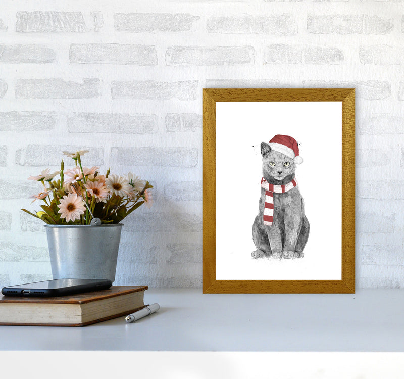 Christmas Cat Animal Art Print by Balaz Solti A4 Print Only