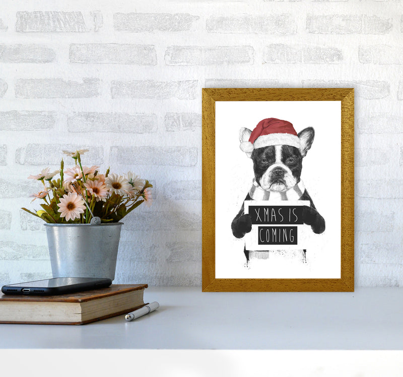 Xmas Is Coming Animal Art Print by Balaz Solti A4 Print Only
