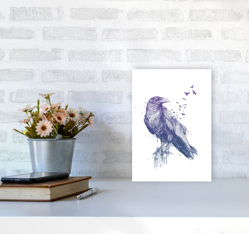 Born To Be Free Raven Animal Art Print by Balaz Solti A4 Black Frame