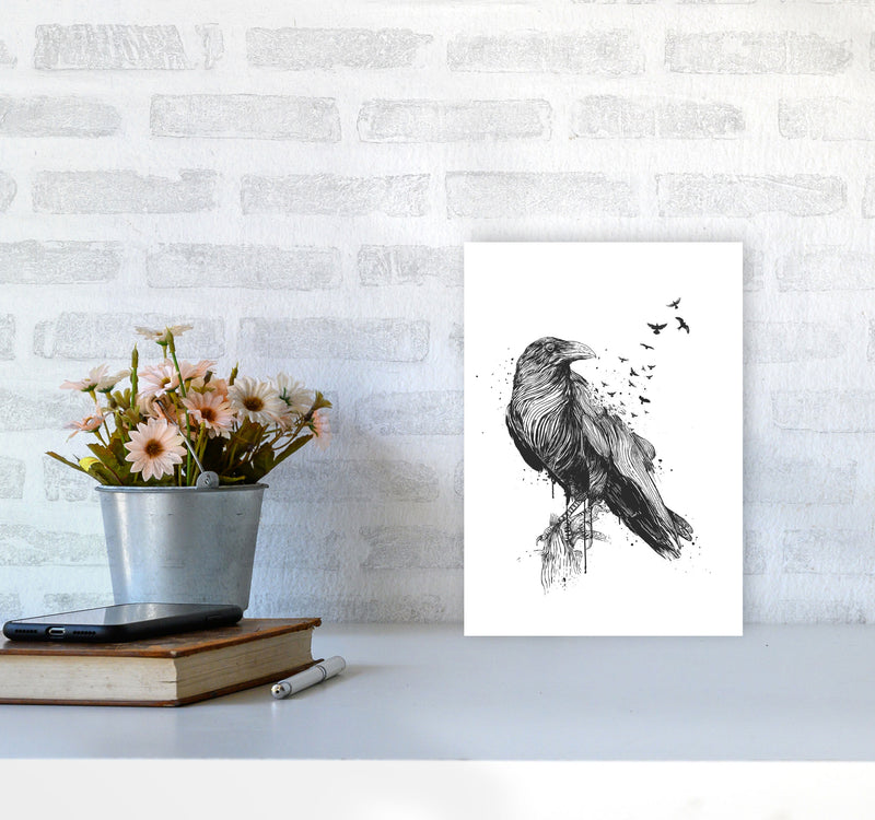 Born To Be Free Raven B&W Animal Art Print by Balaz Solti A4 Black Frame