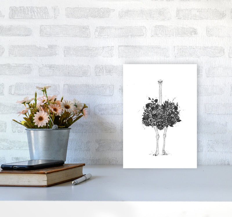 Floral Ostrich Animal Art Print by Balaz Solti A4 Black Frame