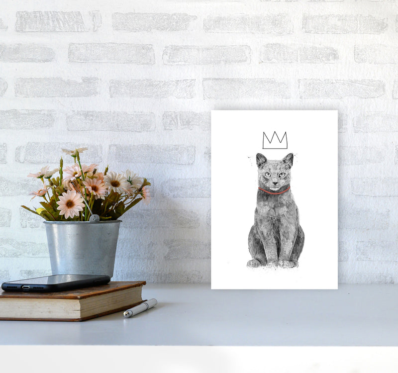 King Of Everything Animal Art Print by Balaz Solti A4 Black Frame