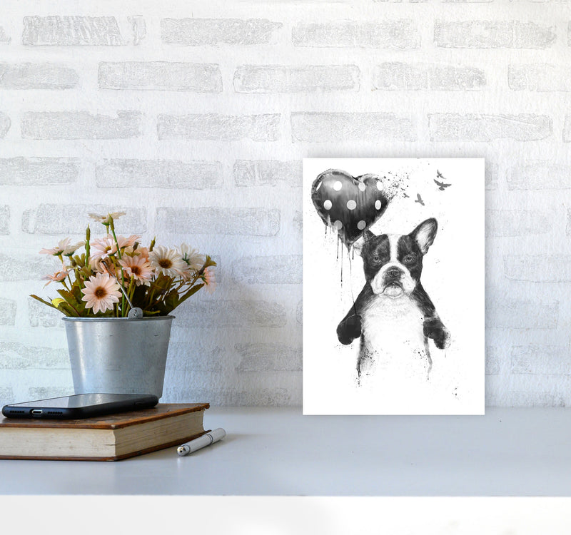 My Heart Goes Boom Bulldog Animal Art Print by Balaz Solti A4 Black Frame