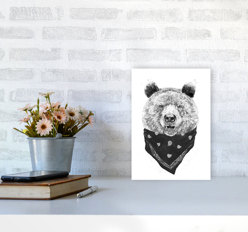 Wild Bear Animal Art Print by Balaz Solti A4 Black Frame