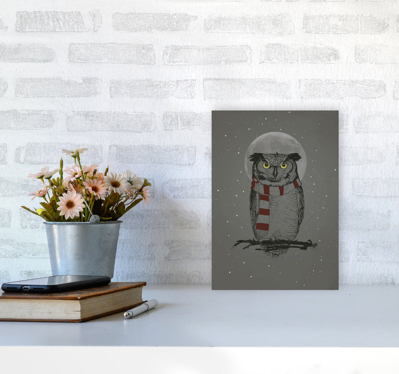 Winter Owl Animal Art Print by Balaz Solti A4 Black Frame