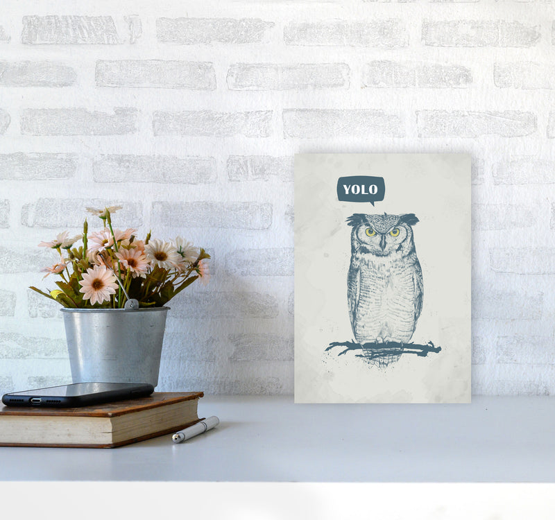 Yolo Owl Animal Art Print by Balaz Solti A4 Black Frame