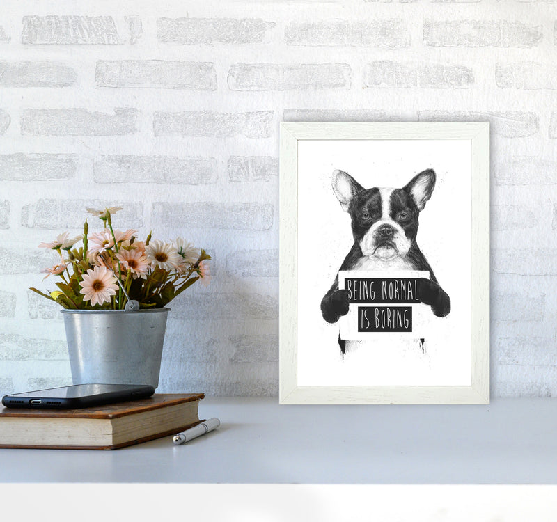 Being Normal Is Boring Animal Art Print by Balaz Solti A4 Oak Frame