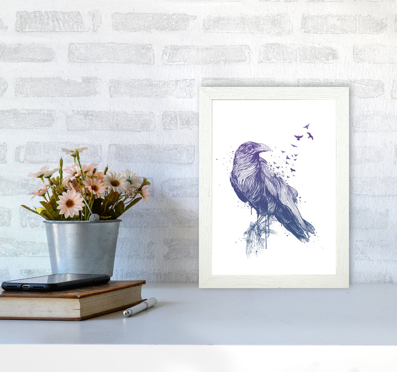 Born To Be Free Raven Animal Art Print by Balaz Solti A4 Oak Frame