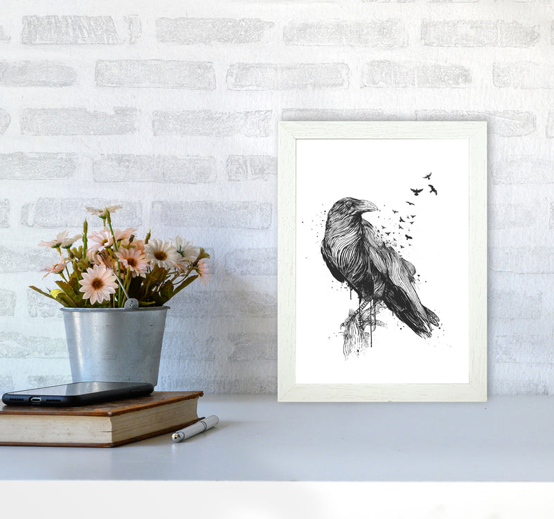 Born To Be Free Raven B&W Animal Art Print by Balaz Solti A4 Oak Frame
