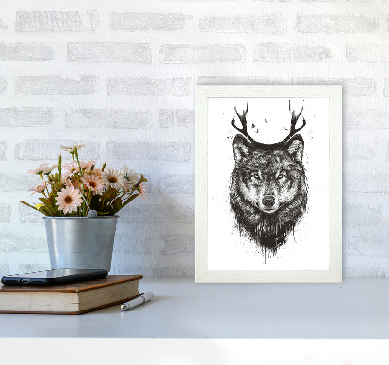 Deer Wolf B&W Animal Art Print by Balaz Solti A4 Oak Frame