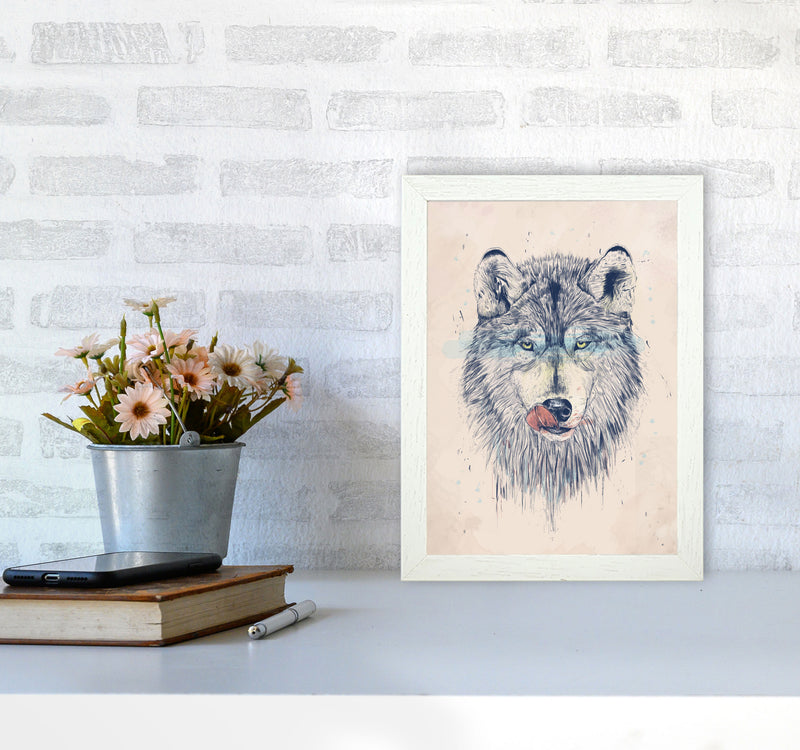 Dinner Time Wolf Animal Art Print by Balaz Solti A4 Oak Frame