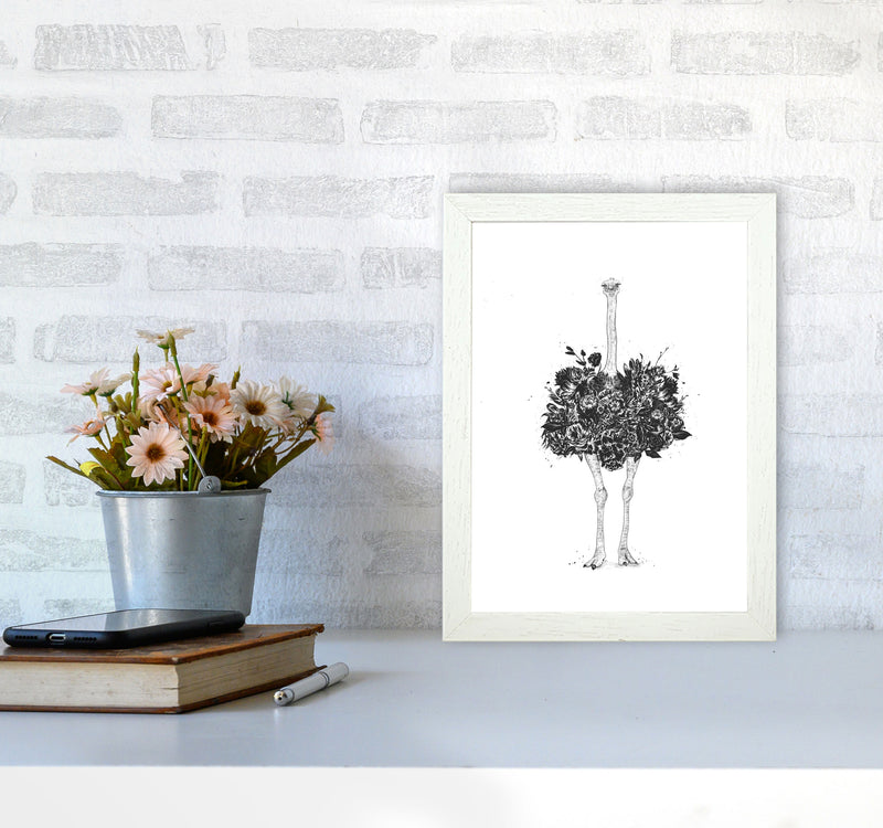 Floral Ostrich Animal Art Print by Balaz Solti A4 Oak Frame