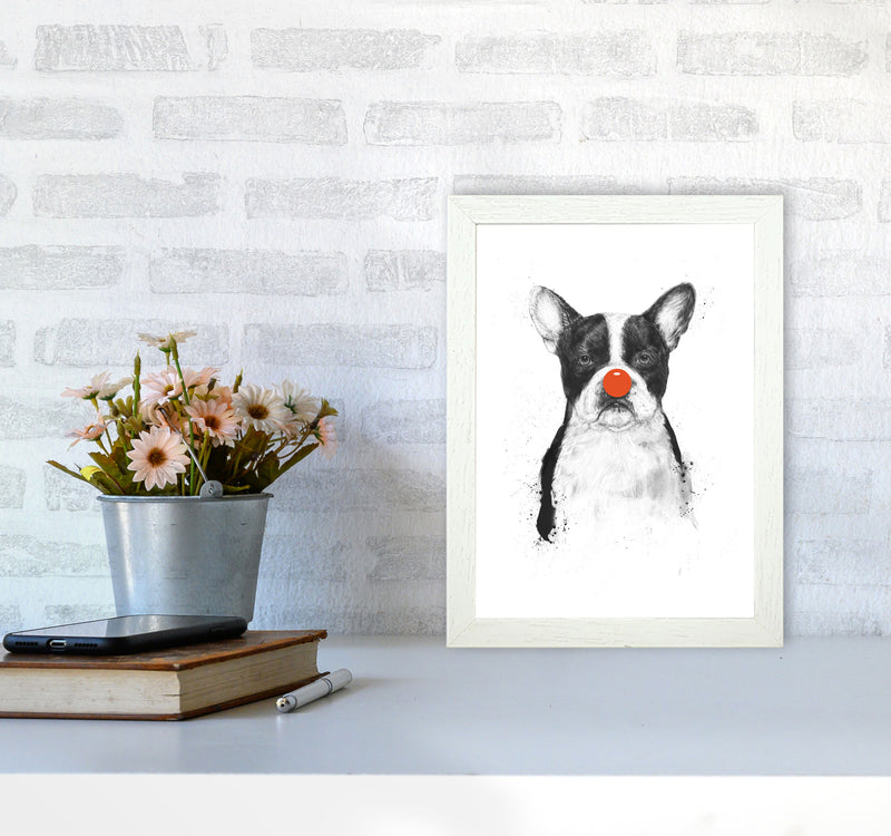 I'm Not Your Clown Bulldog Animal Art Print by Balaz Solti A4 Oak Frame