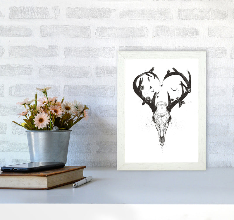 Never-ending Love Deer Skull B&W Animal Art Print by Balaz Solti A4 Oak Frame