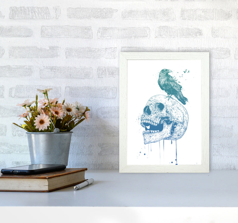 Skull & Raven Colour Animal Art Print by Balaz Solti A4 Oak Frame