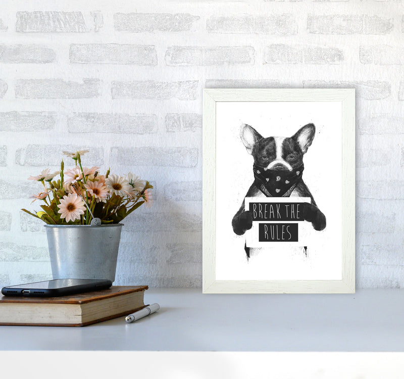Rebel Bulldog Animal Art Print by Balaz Solti A4 Oak Frame