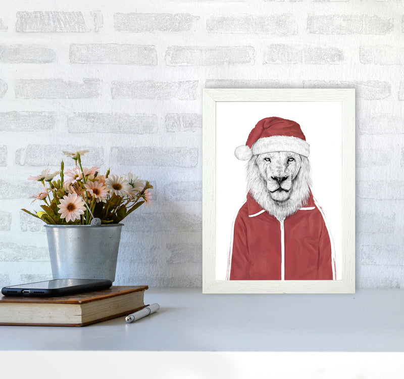 Santa Lion Animal Art Print by Balaz Solti A4 Oak Frame